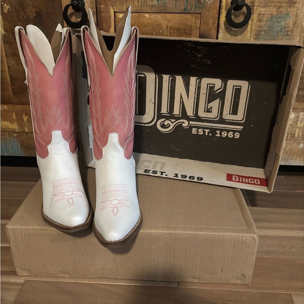 Dingo Hold Yer Horses Two Toned Boots NIB